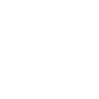 digital data
